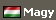 Magyar